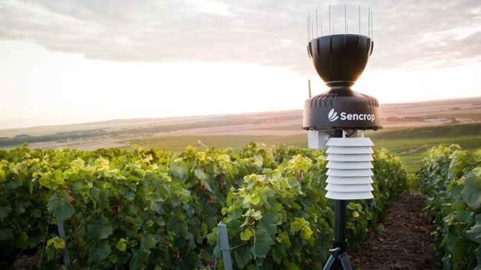 Avec désormais 11 300 stations météo connectées, le réseau de Sencrop devient « le plus gros en Europe de l’Ouest ».